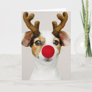 JACK RUSSEL TERRIER CHRISTMAS-mappat kort