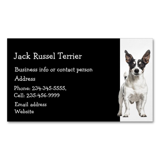 Jack Russel Terrier Hund Breeder Pet Sitter Busine Magnetiska Visitkort (Framsida)