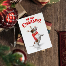 Jack Russel Terrier Hund Red Nose Antlers Julafton