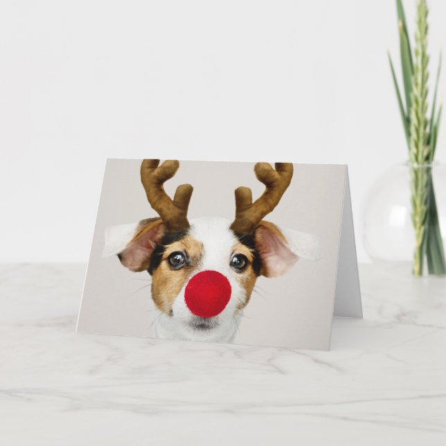 JACK RUSSEL TERRIER SOM REINDEER-gratulationskort Kort (Framsida)