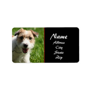 Jack Russell-adressetikett Adressetikett