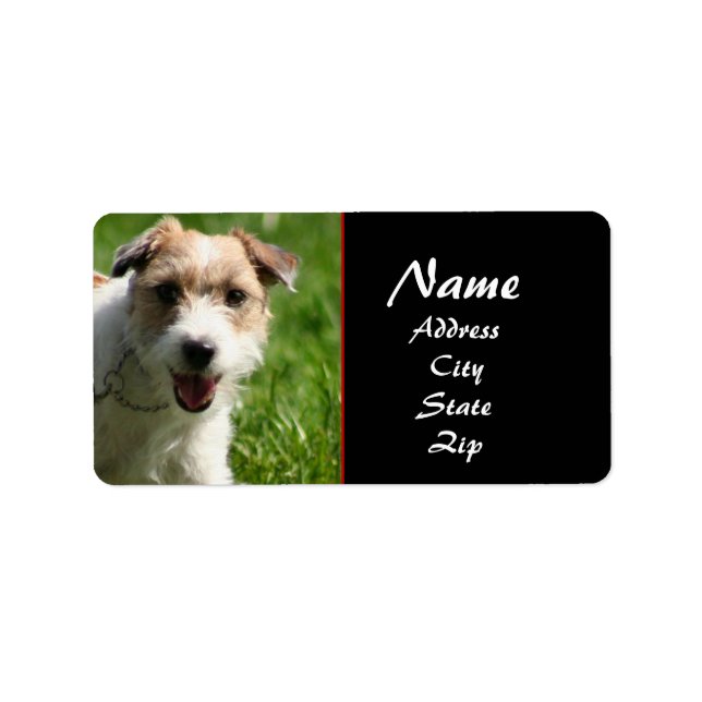 Jack Russell-adressetikett Adressetikett (Framsidan)