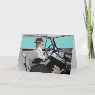 Jack Russell and Cat Driving Classic Car Kort