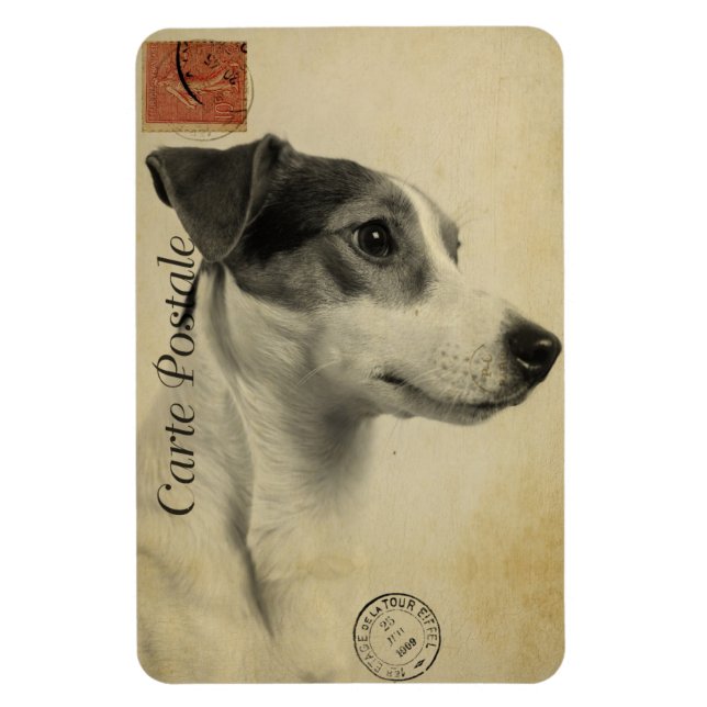 Jack Russell Antik vykort Magnet (Vertikal)