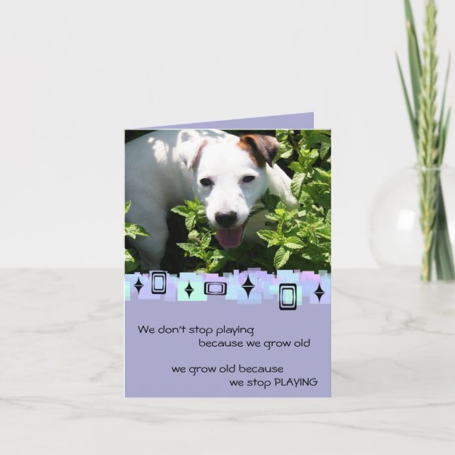Jack Russell Birthday Greetings Kort (Framsida)