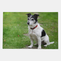 Jack Russell Door Mat - Spelande Valp