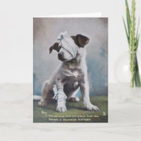 Jack Russell får snart kort