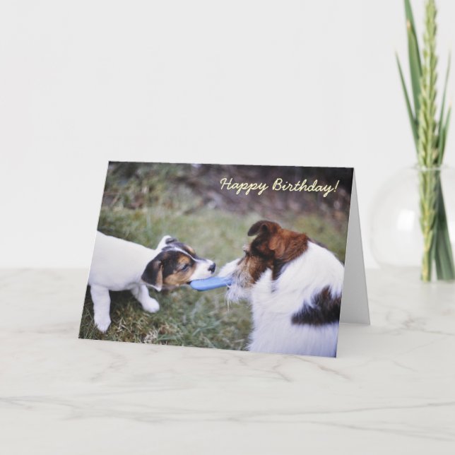 Jack Russell födelsedagskort Kort (Framsida)