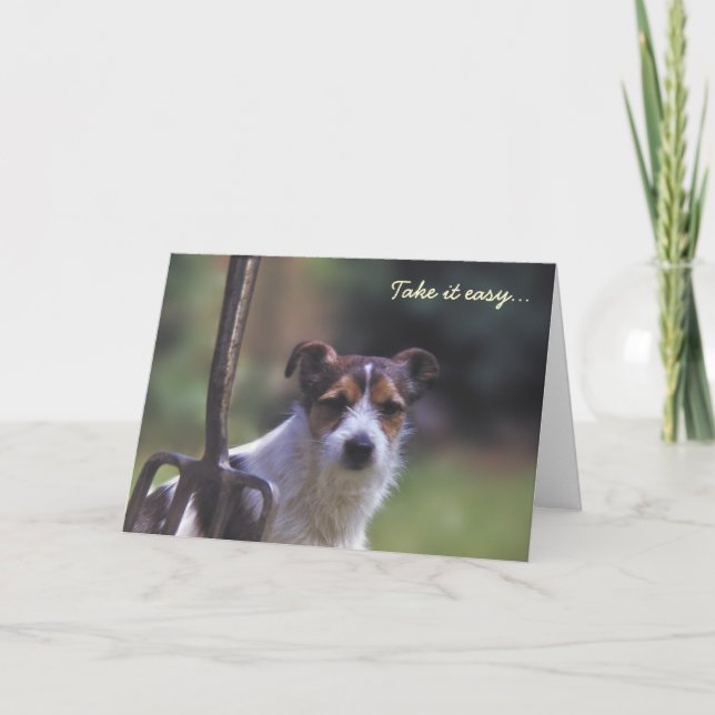 Jack Russell födelsedagskort Kort (Framsida)