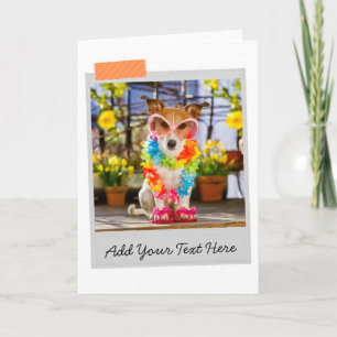 Jack Russell Funny Card Kort