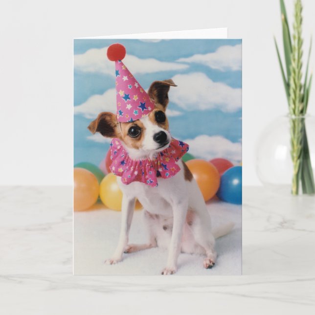 Jack Russell Hund Birthday Card Kort (Framsida)