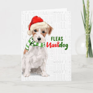 Jack Russell Hund Funny Fleas Navidog Jul Helgkort