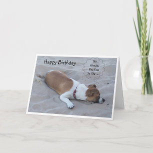 Jack Russell Hund Humous Birthday Kort