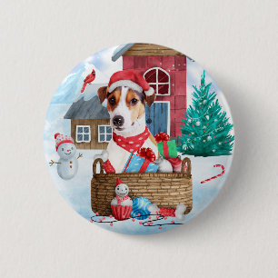 Jack Russell Hund I Hund i snö Knapp