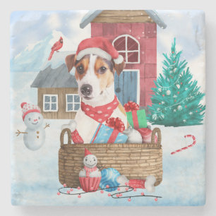Jack Russell Hund I Hund i snö Stenunderlägg