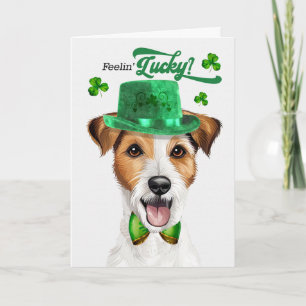 Jack Russell Hund Känner Lycka St Patrick's Day Helgkort
