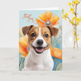 Jack Russell Hund Orange Papaver Blommor Snart Bät Kort