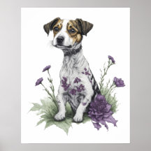 Jack Russell Hund