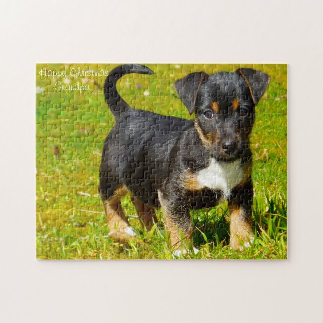 Jack Russell Hund. Pussel (Horisontell)