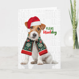 Jack Russell Hund Roliga Loppan Navidog Jul Helgkort