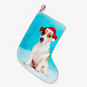 jack russell Hund Sitta i snö med Santa Hat Liten Julstrumpa