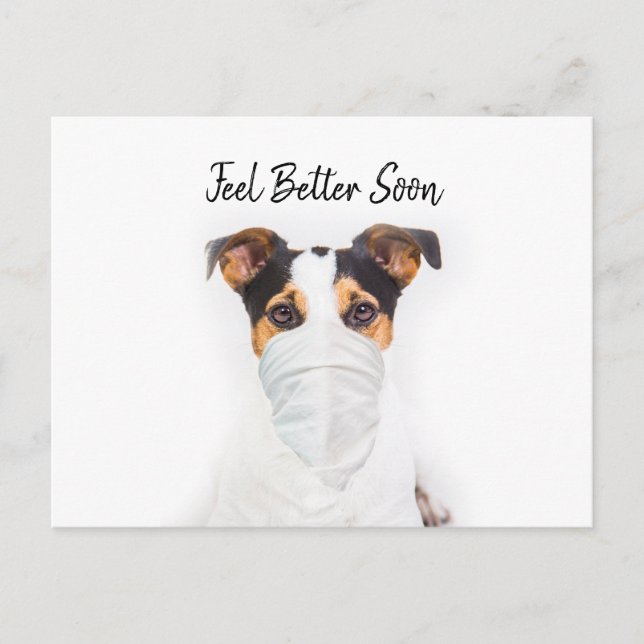 Jack Russell i bandana mask hoppas bli frisk Vykort (Framsida)