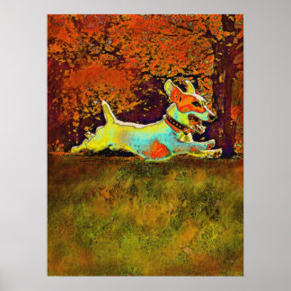 jack russell i skogen på hösten poster