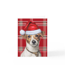 Jack Russell jul Hund Red Play jul