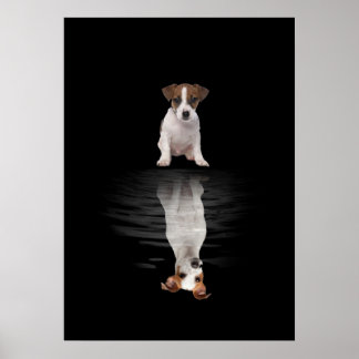 Jack Russell Kärlek Cute Jack Russell Poster