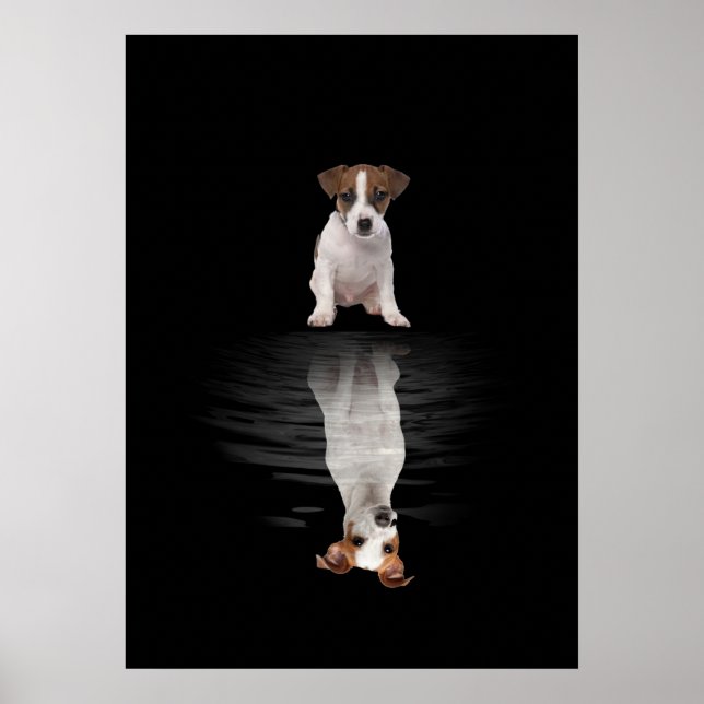 Jack Russell Kärlek Cute Jack Russell Poster (Framsidan)