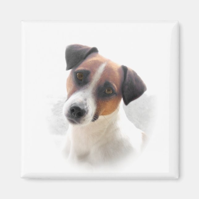 Jack Russell Magnet (Framsidan)