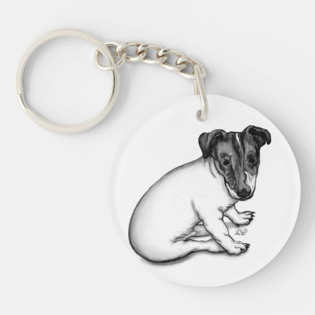 Jack Russell marium 10 veckor gammal (Framsidan)