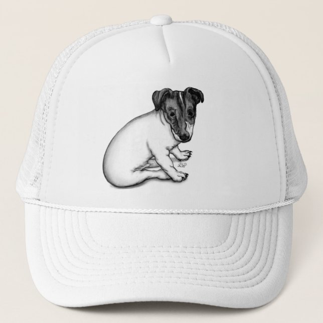 Jack Russell marium 10 veckor gammal Keps (Framsida)