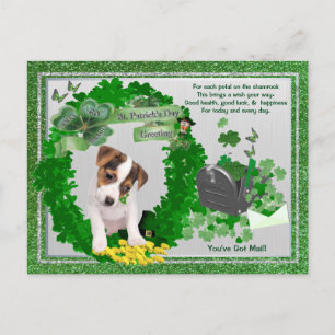 Jack Russell New Valp 1-St patty Du har Har Mail Vykort