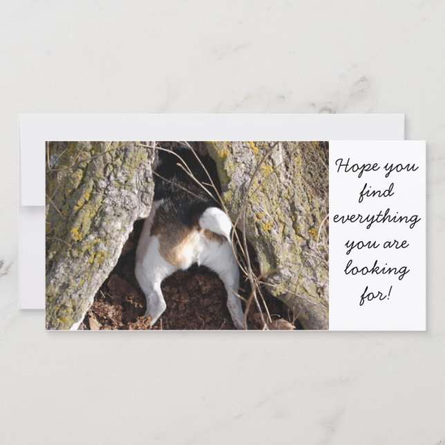 Jack Russell Note-kort (Framsida)