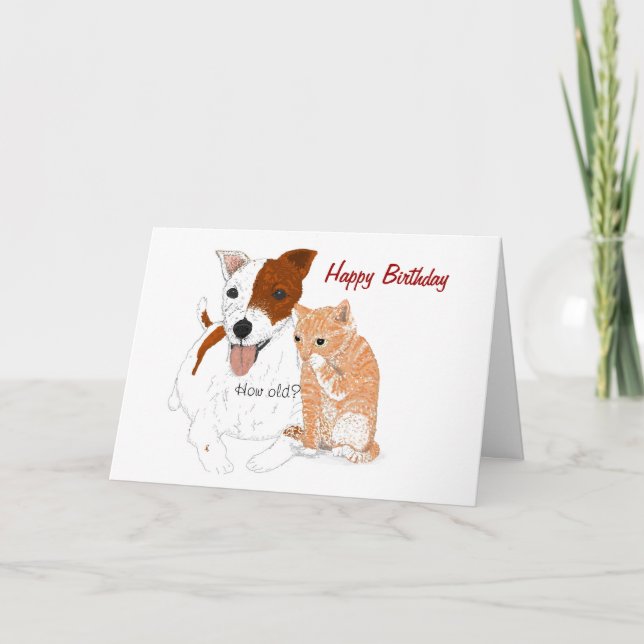 Jack Russell och Kitten Birthday Card Kort (Framsida)