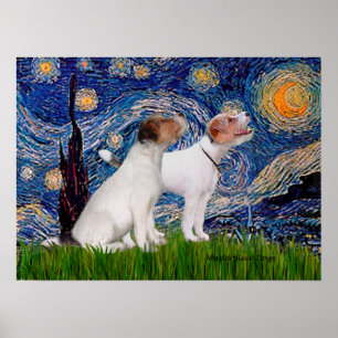 Jack Russell Pair 4 - Starry Natt Poster