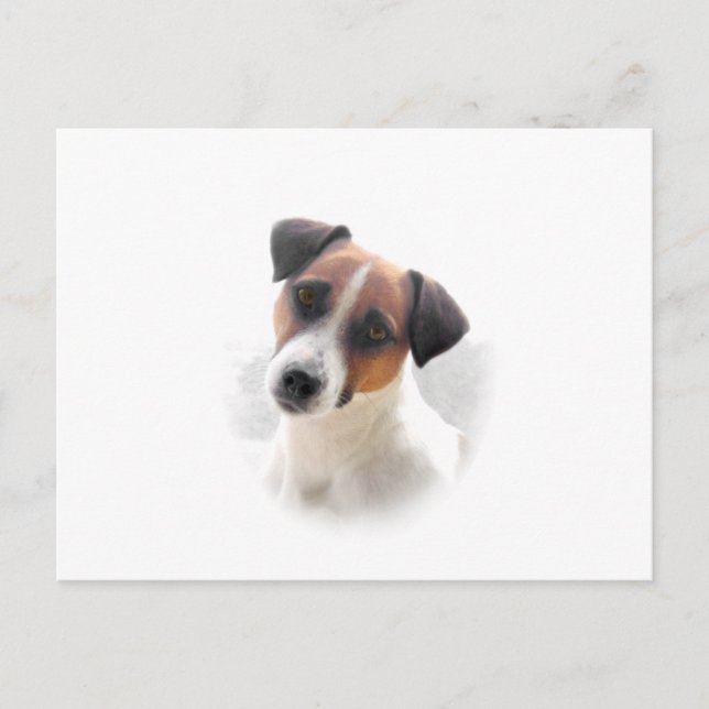 Jack Russell Postcard Vykort (Framsida)
