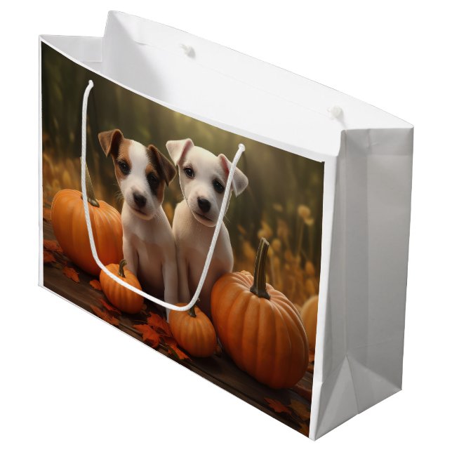 Jack Russell Puppy Autumn Delight Pumpkin (Framsidan Vinklad)