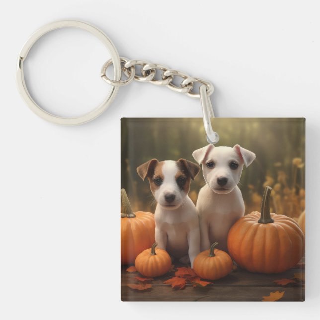 Jack Russell Puppy Autumn Delight Pumpkin (Framsidan)