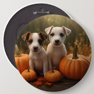 Jack Russell Puppy Autumn Delight Pumpkin Knapp