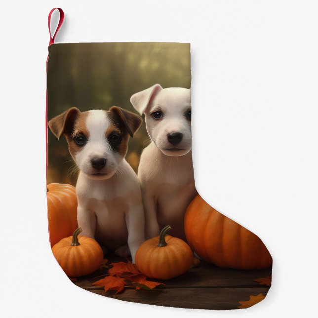 Jack Russell Puppy Autumn Delight Pumpkin Liten Julstrumpa (Framsidan)