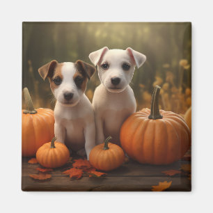 Jack Russell Puppy Autumn Delight Pumpkin Magnet