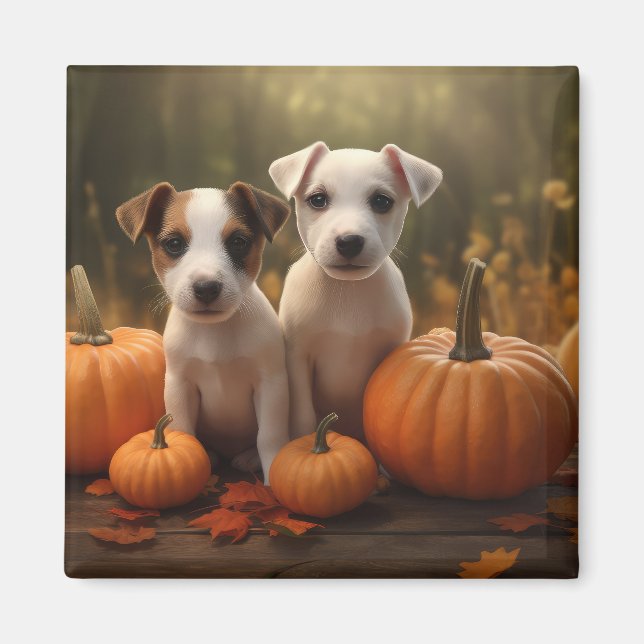 Jack Russell Puppy Autumn Delight Pumpkin Magnet (Framsidan)