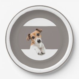 Jack Russell Puppy Hund Cute Adworthy Sweet