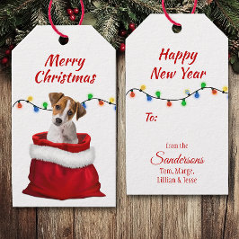 Jack Russell Puppy i Santa Bag Presentetikett