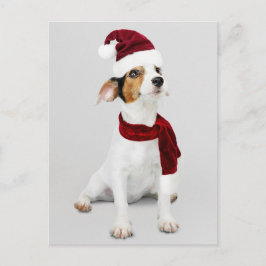Jack Russell Puppy på Santa Hat Helg Vykort