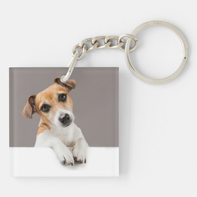 Jack Russell Puppy Sweet Adsible Baby Jack (Baksidan)