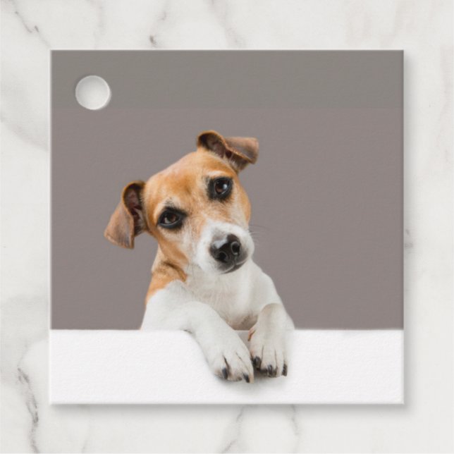 Jack Russell Puppy Sweet Adsible Baby Jack Gåvor Etiketter (Framsida)