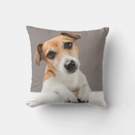 Jack Russell Puppy Sweet Adsible Baby Jack Kudde
